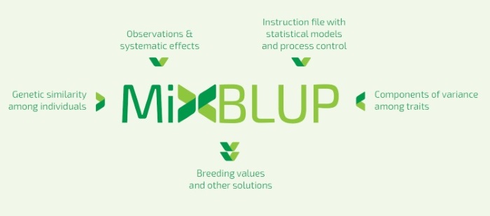 MiXBLUP MiXBLUP